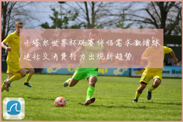 卡塔尔世界杯观赛伴侣需求激增球迷社交消费行为出现新趋势