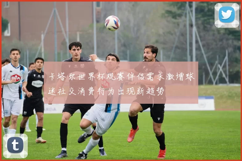 卡塔尔世界杯观赛伴侣需求激增球迷社交消费行为出现新趋势